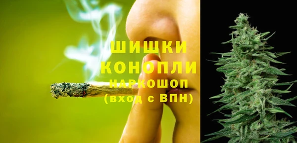 кокс Богородицк