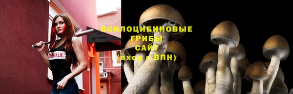 прущий лед Богданович