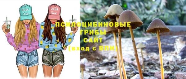 прущий лед Богданович